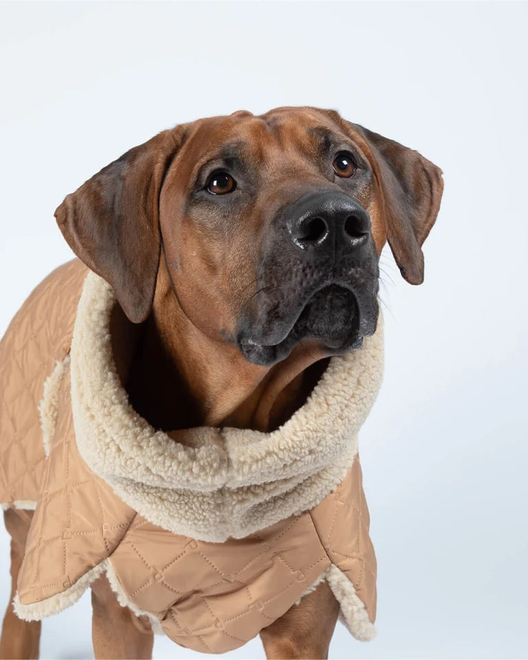 Dog Sherpa Steppjacke von Paikka