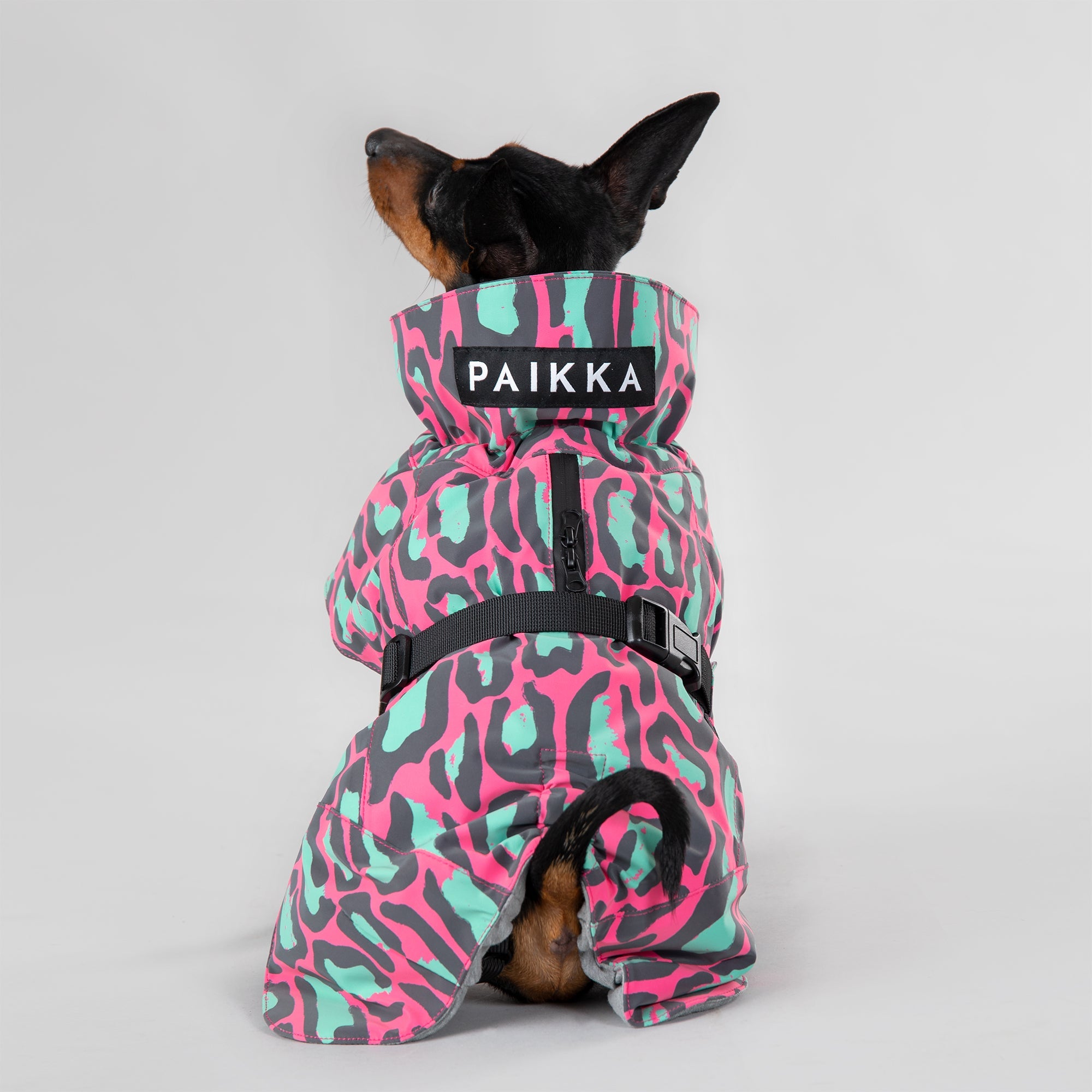 Hochreflektierende Hundewinterjacke von Paikka