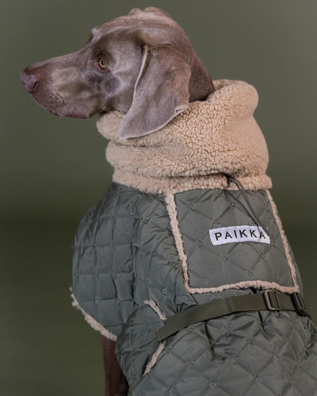 Dog Sherpa Steppjacke von Paikka