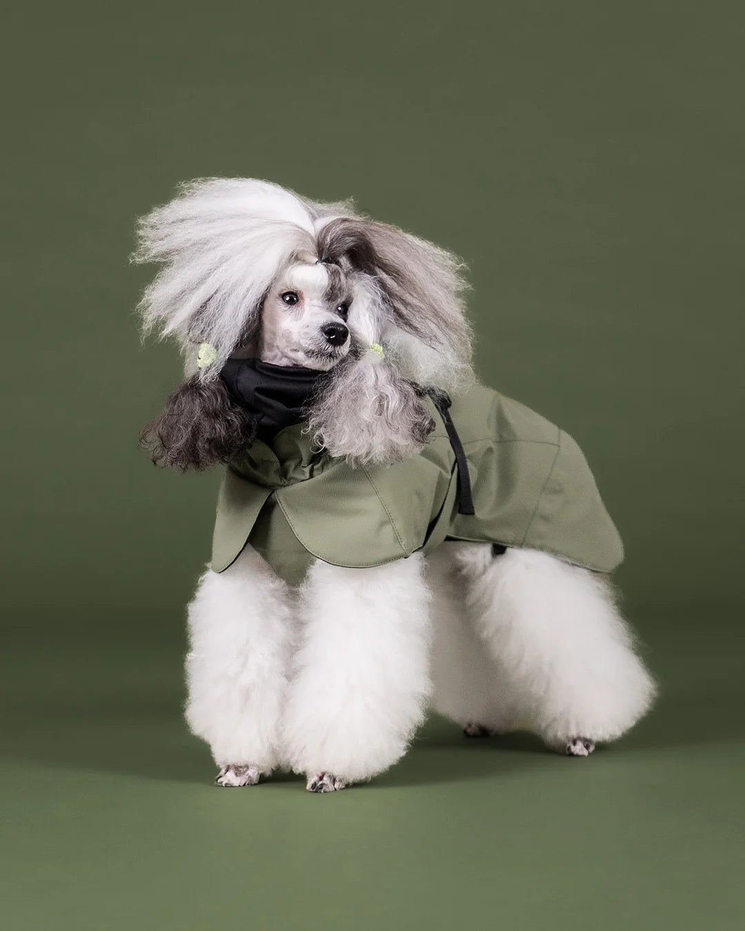 Hochreflektierende Hundewinterjacke Seawool von Paikka