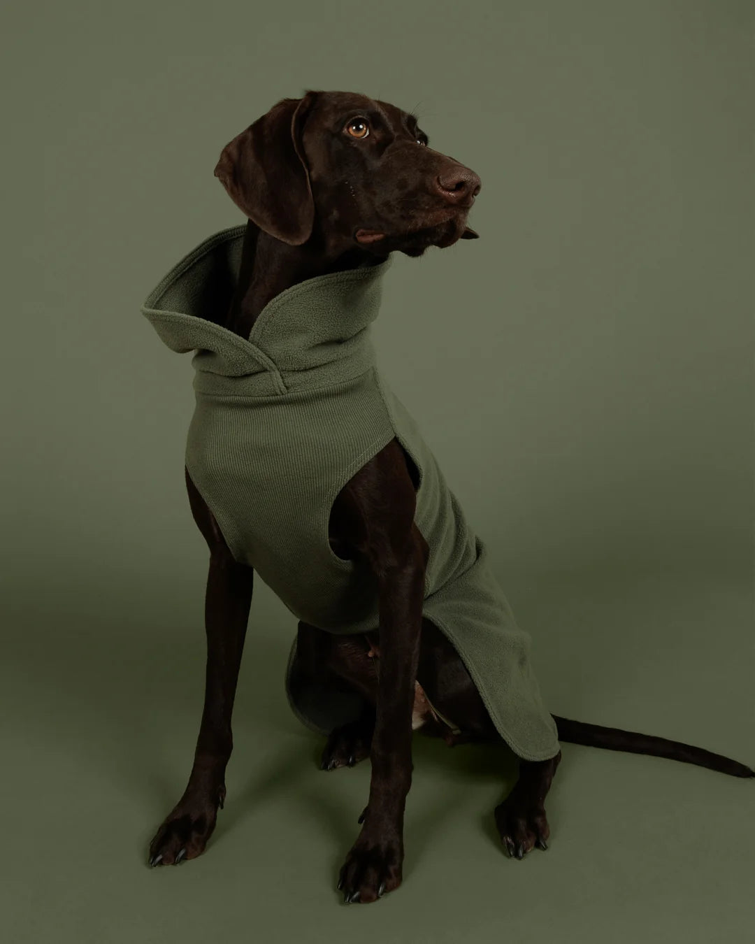 Dog Seawool Shirt von Paikka