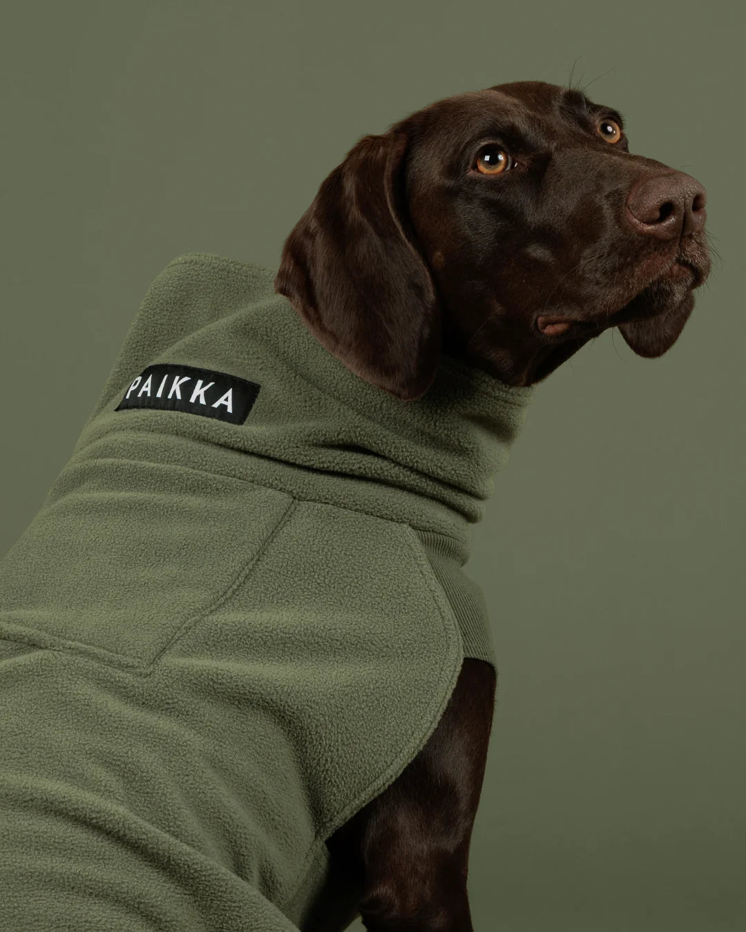Dog Seawool Shirt von Paikka