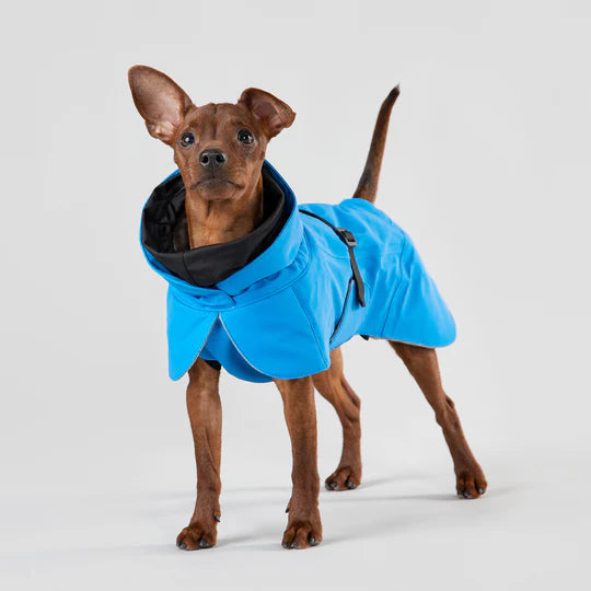 Hochreflektierende Hundewinterjacke von Paikka