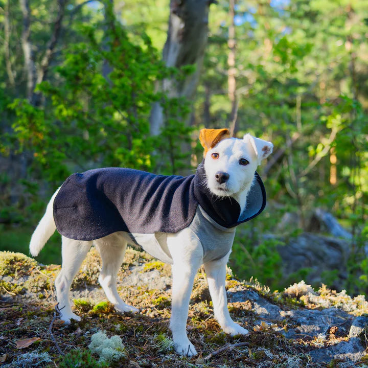 Hunde-Wintershirt Recovery von Paikka