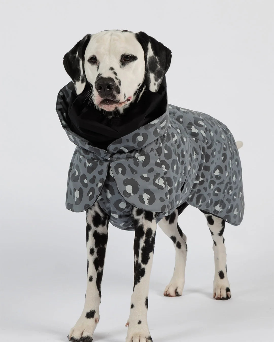 Hochreflektierende Hundewinterjacke Seawool von Paikka