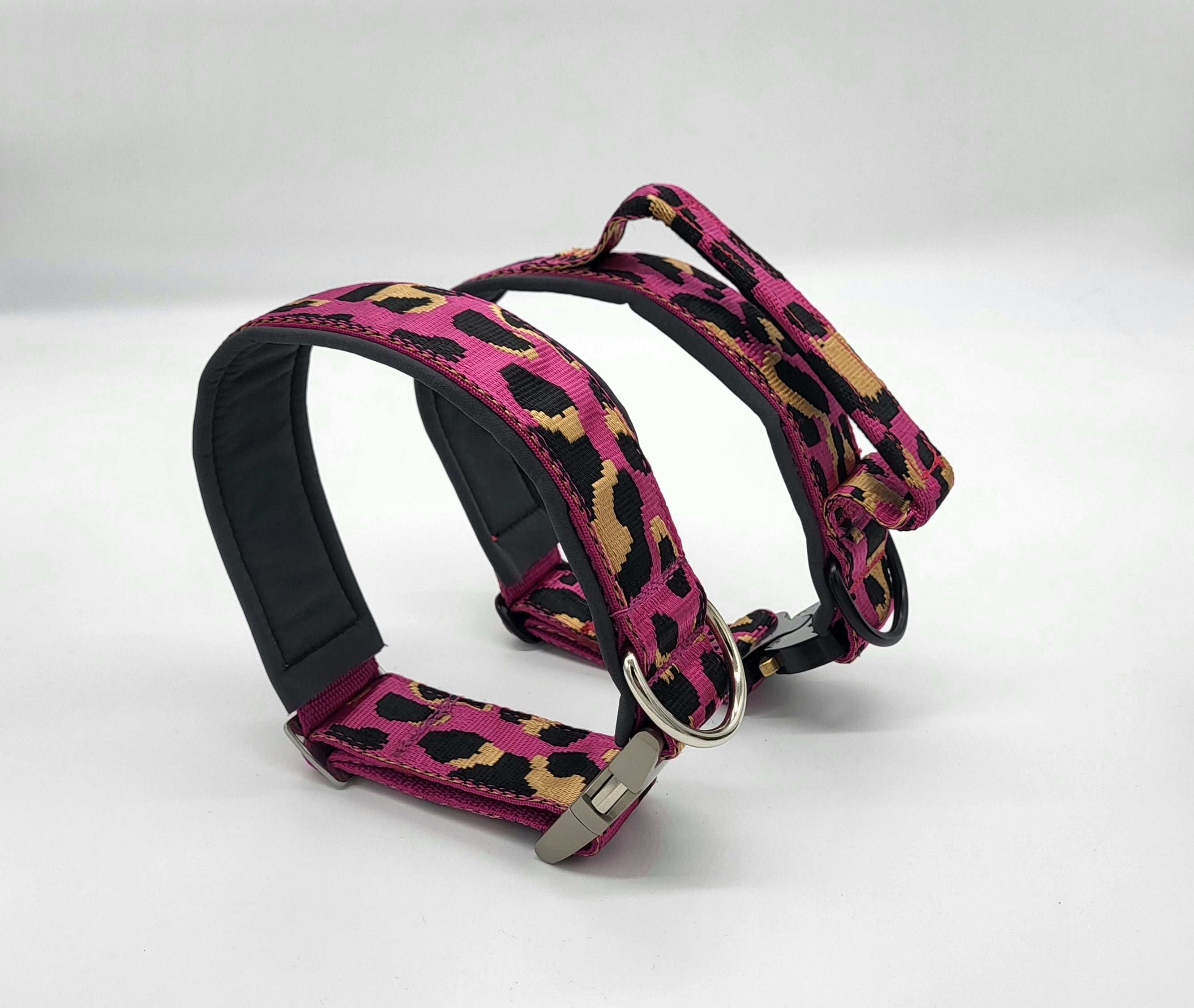 Mein Krönchenträger Klick-Halsband "Leo"