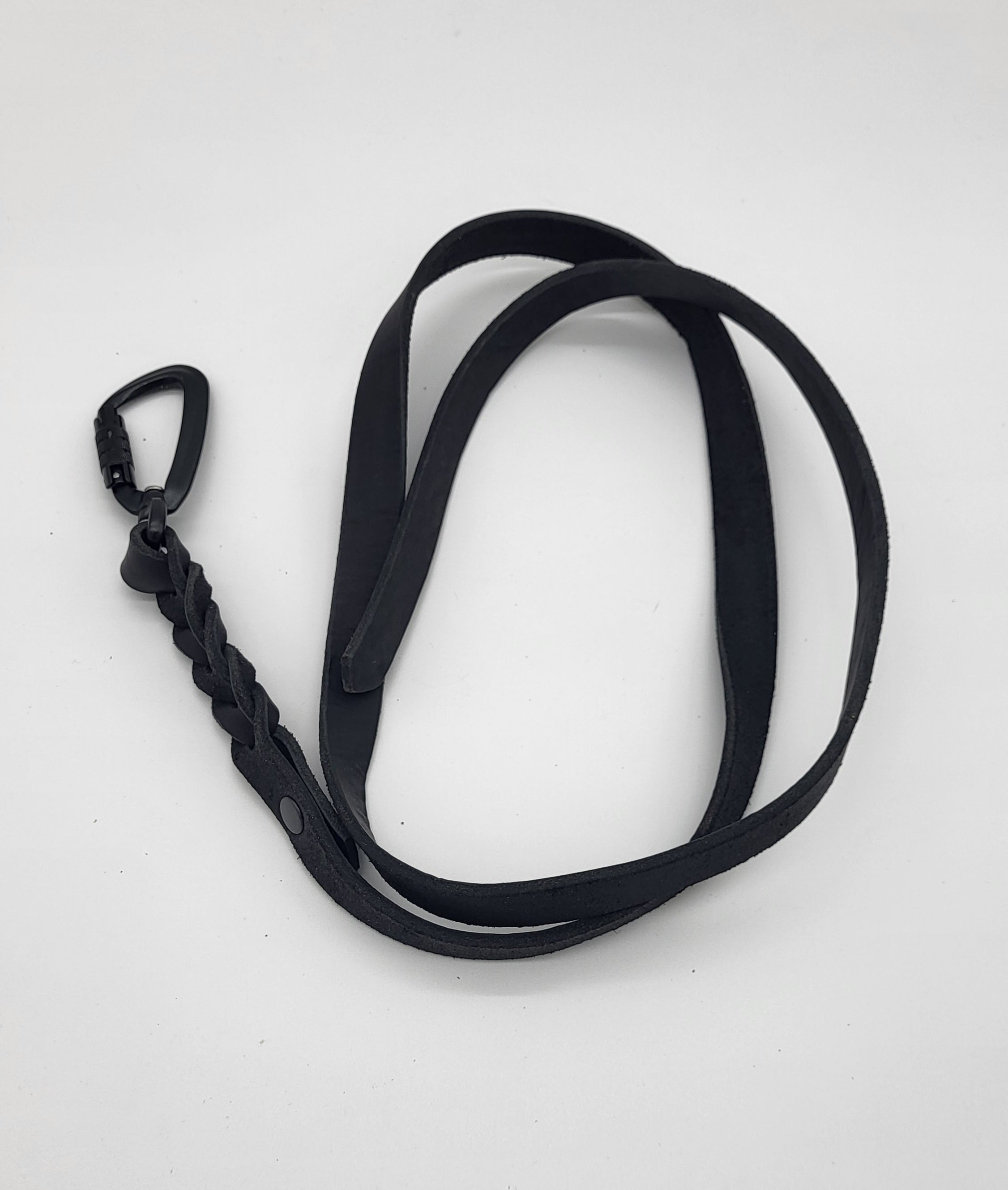 Meine Krönchenträger Lederleine