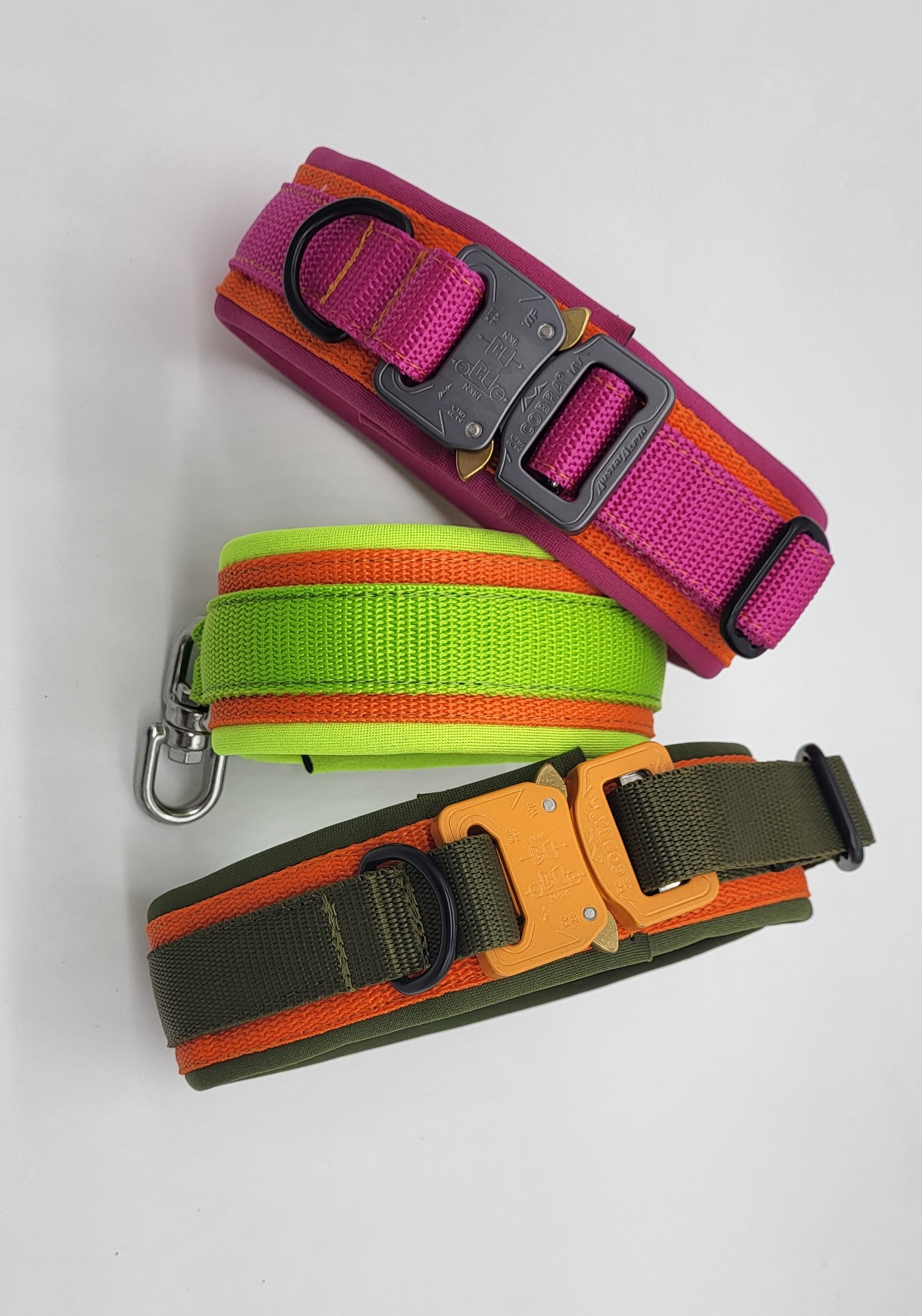 Mein Krönchenträger Allroundhalsung