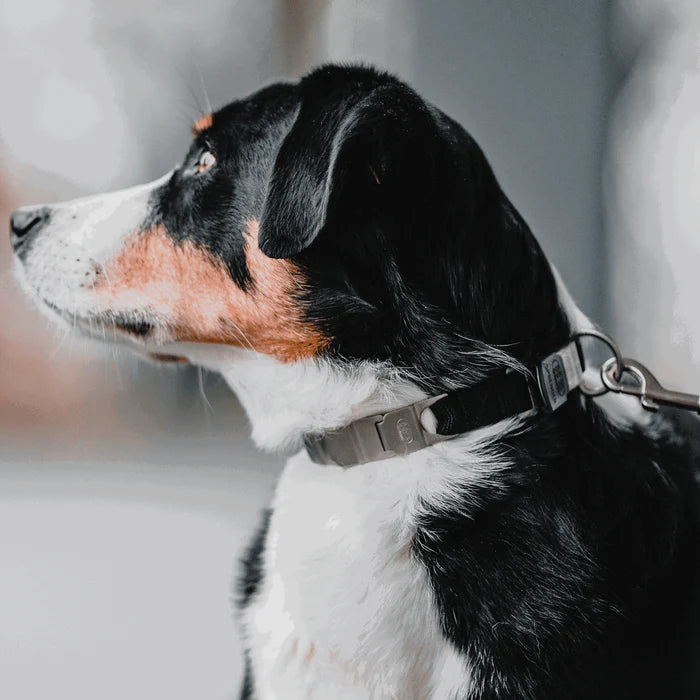 NeckTech Fun mit ClicLock - Edelstahl Rostfrei matt von Sprenger