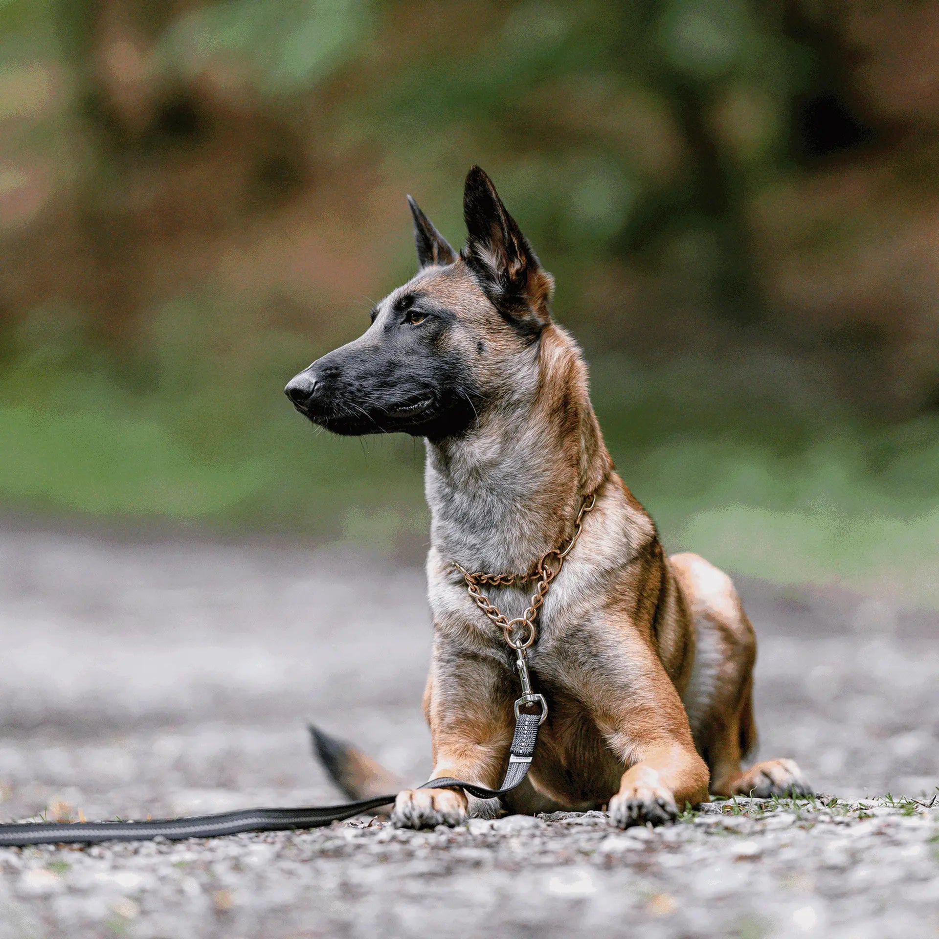 Halskette, medium, mit Durchzugskette - CUROGAN, 3,0 mm von Sprenger