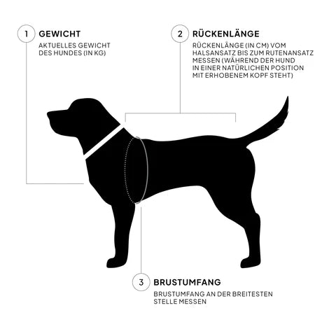 Hunderegenmantel Lewis Olive von Cloud 7