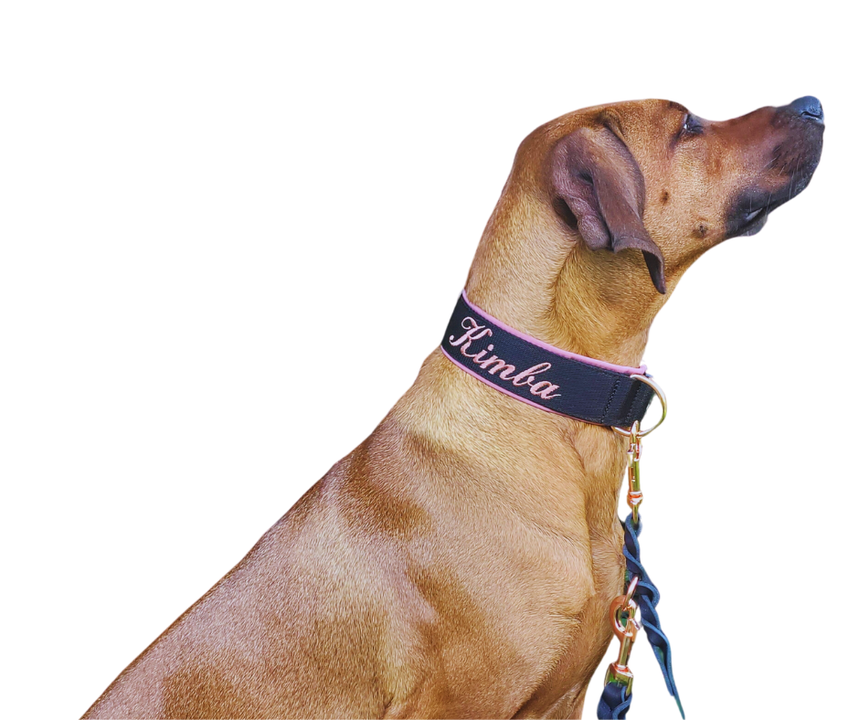 Mein Krönchenträger Halsband Cobra