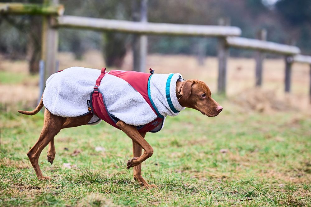 Trekking Fleece-Hundejacke von Non-stop dogwear