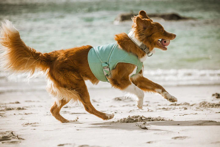 Cooling Wrap Kühlweste von Hurtta