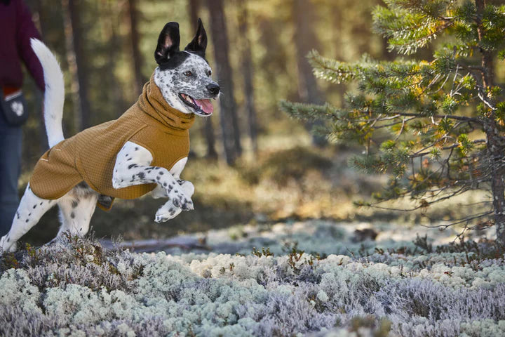 Hundemantel Warming Midlayer Eco von Hurtta