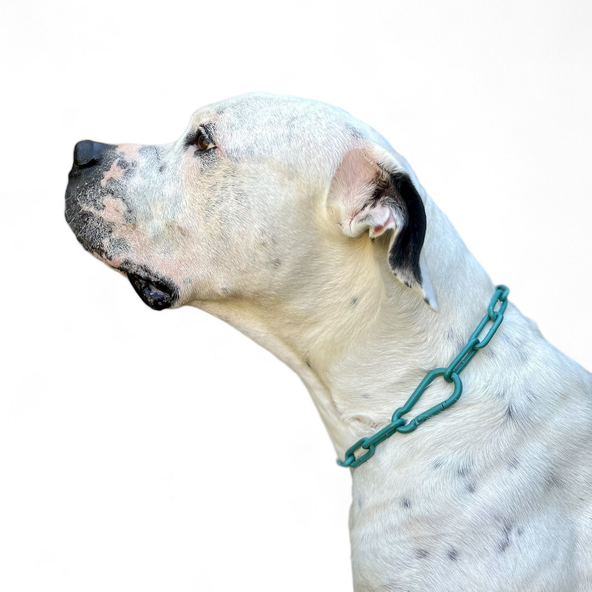 Mein Krönchenträger Karabinerkette langgliedrig groß einfarbig