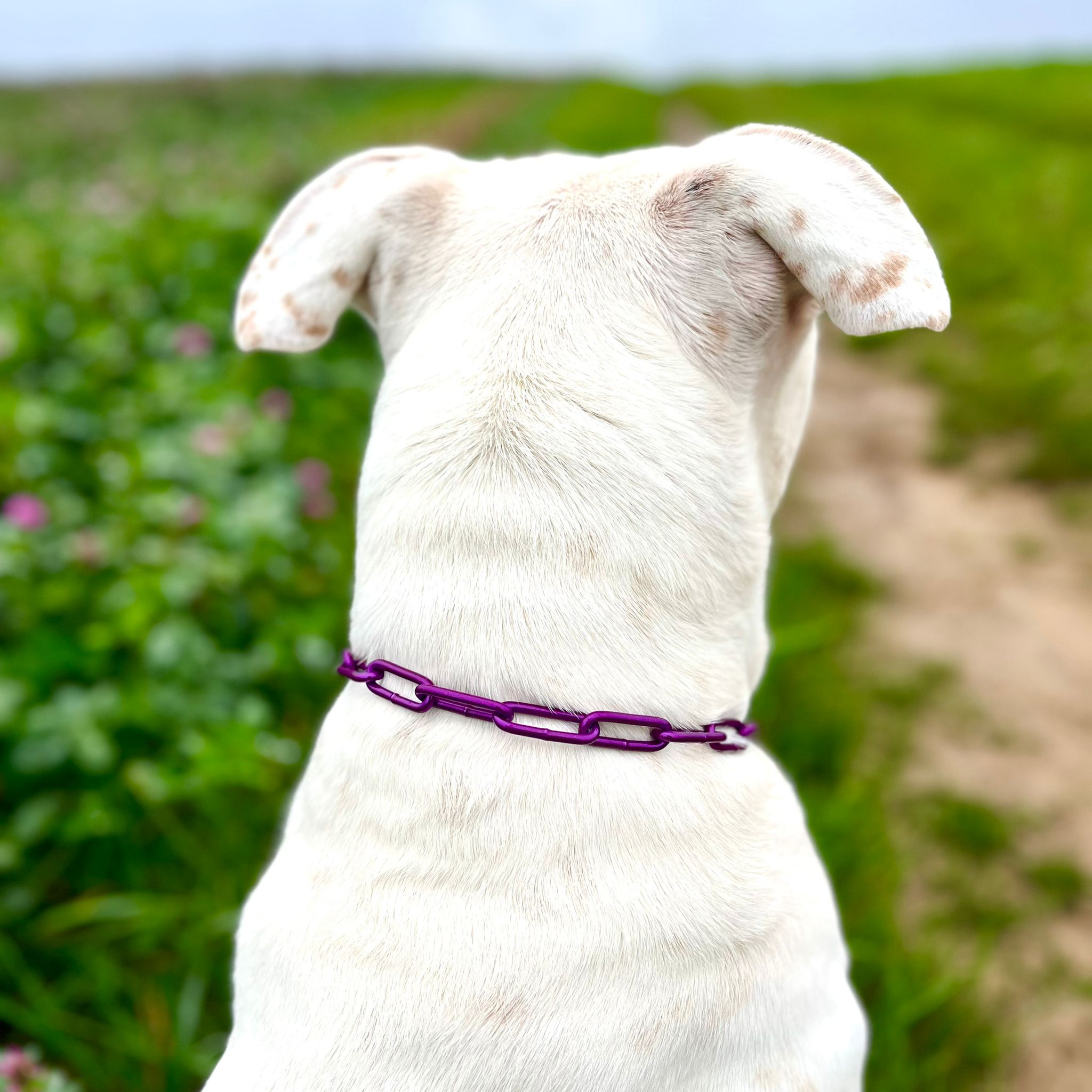 Mein Krönchenträger Karabinerkette langgliedrig groß einfarbig