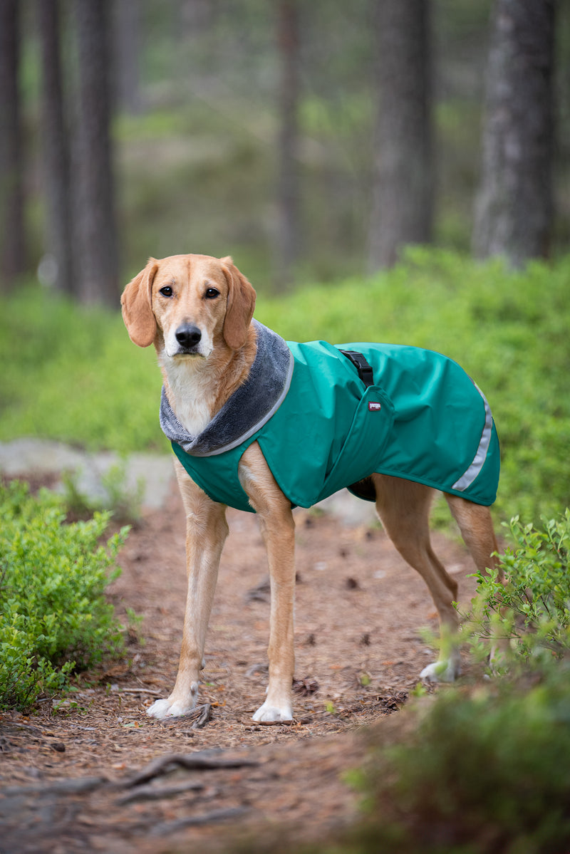 dog gear hundemantel Hundemantel "Gippy" von Sofa Dog Wear