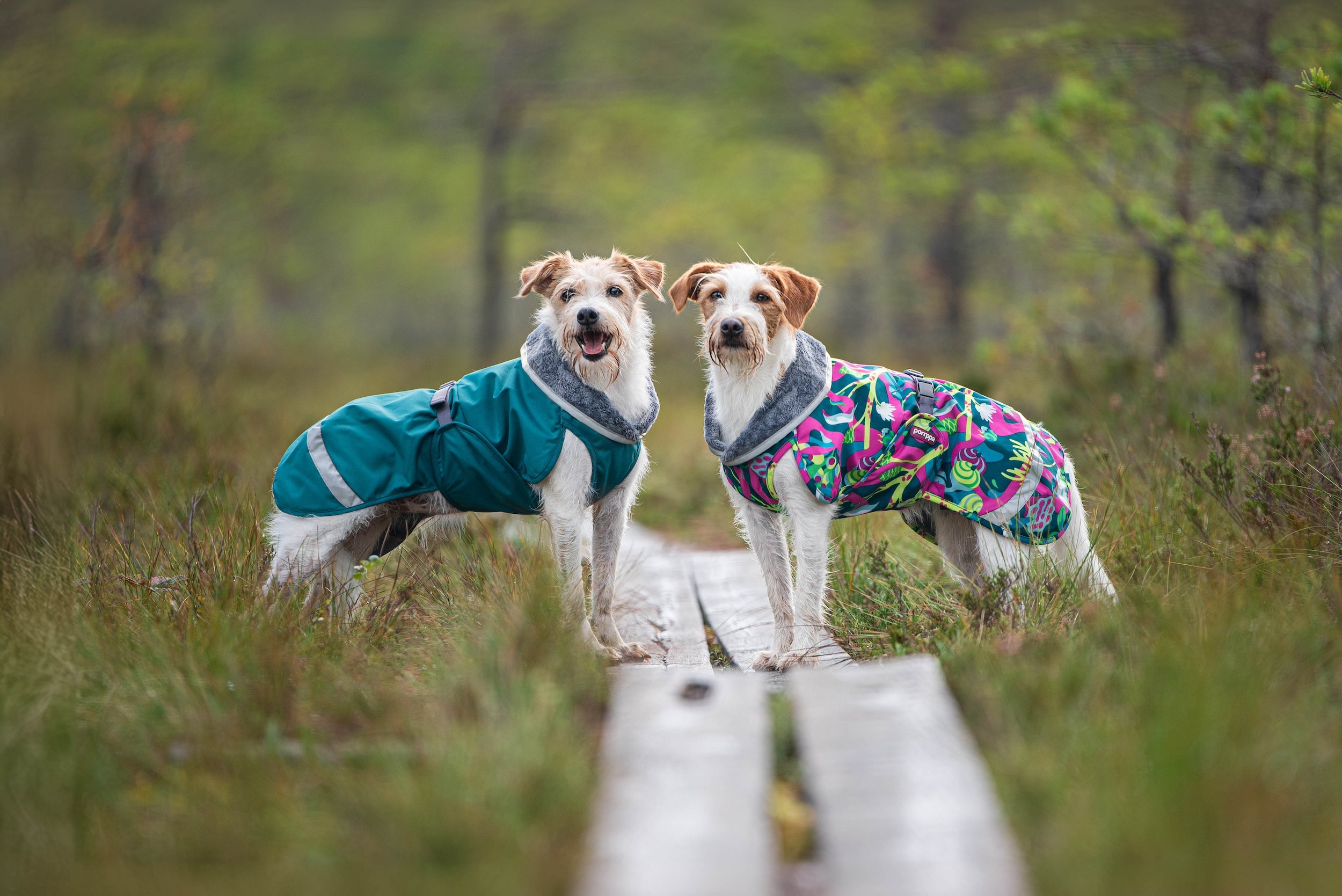 Hundemantel "Kevyt" mit Geschirröffnung von Pomppa 24/25