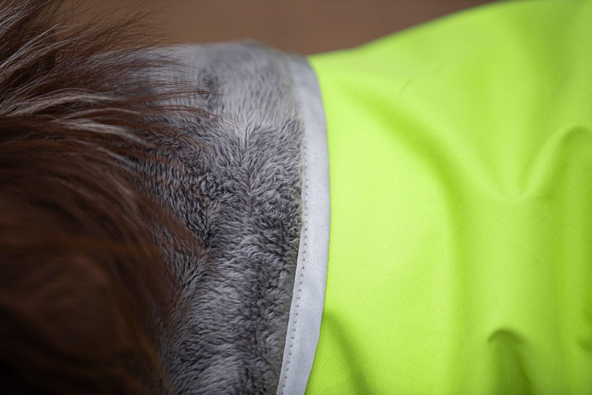 Hundemantel "Kevyt" mit Geschirröffnung von Pomppa 24/25