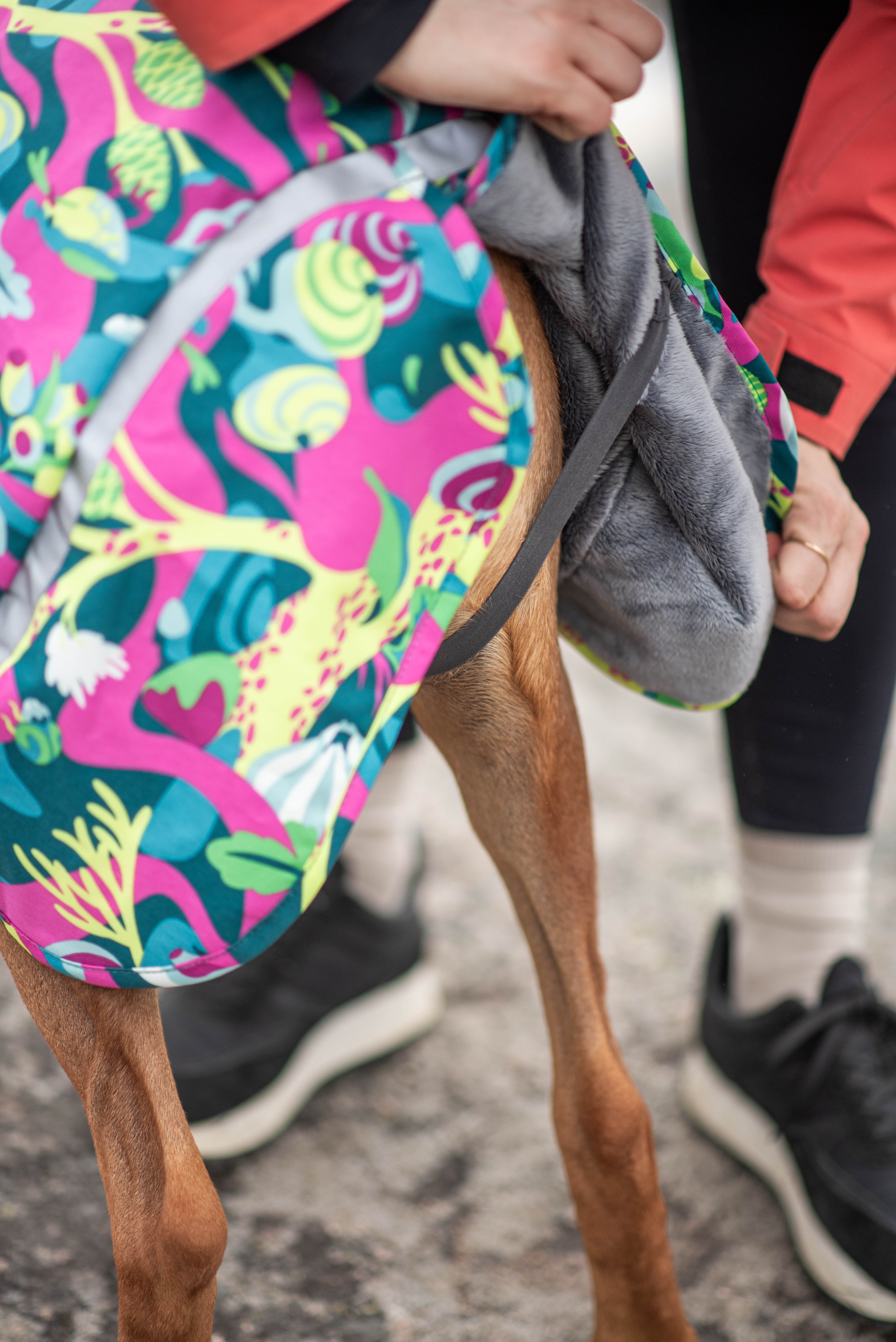 Hundemantel "Kevyt" mit Geschirröffnung von Pomppa 24/25