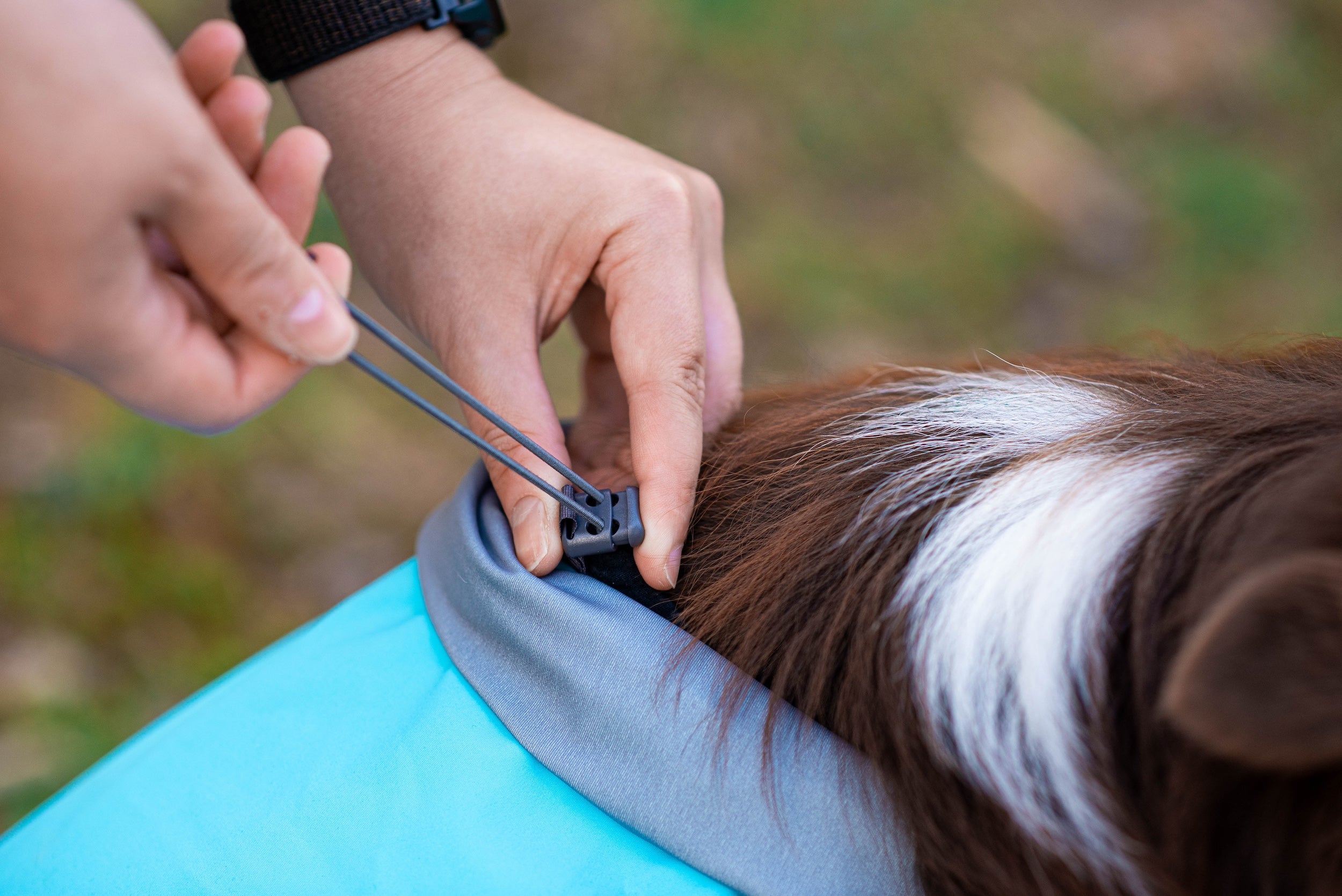Hundemantel Kuori von Pomppa