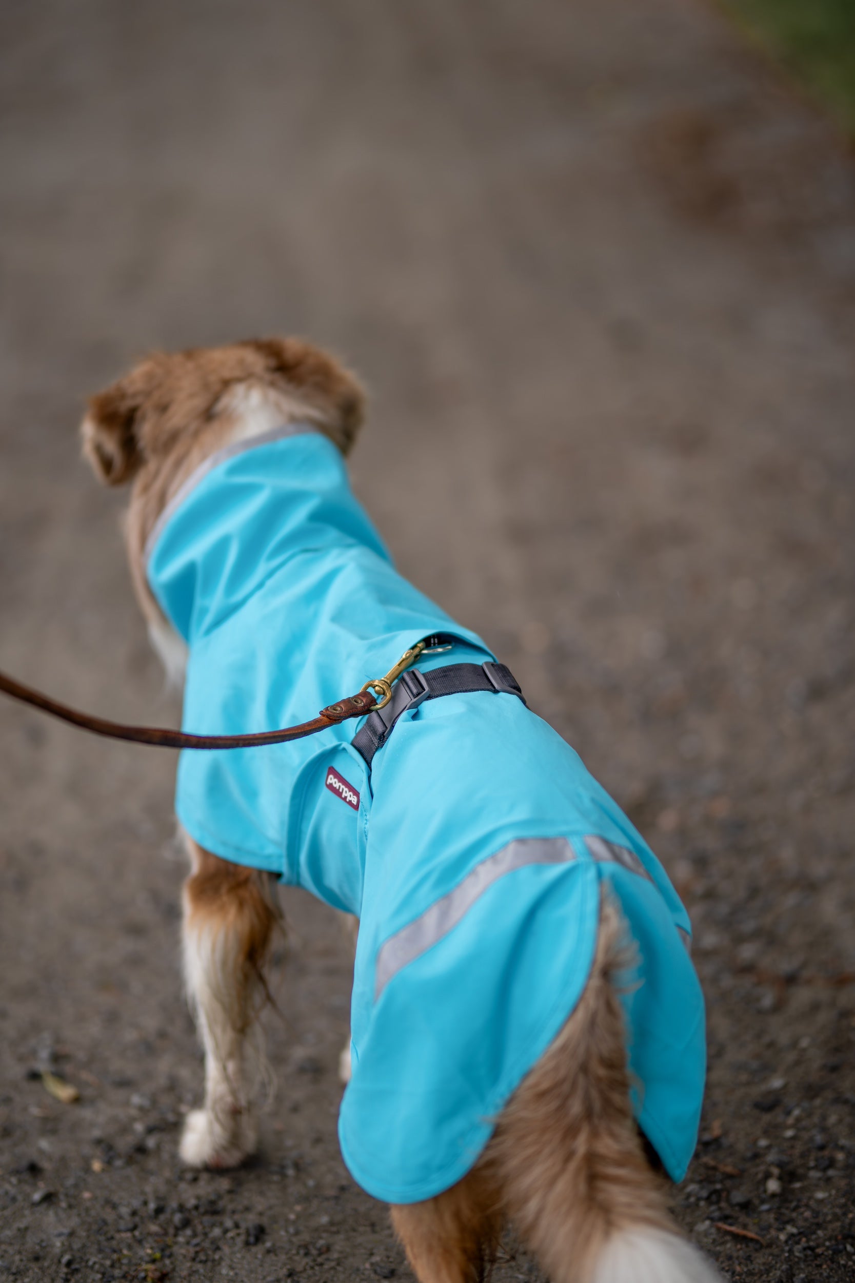 Hundemantel Kuori von Pomppa