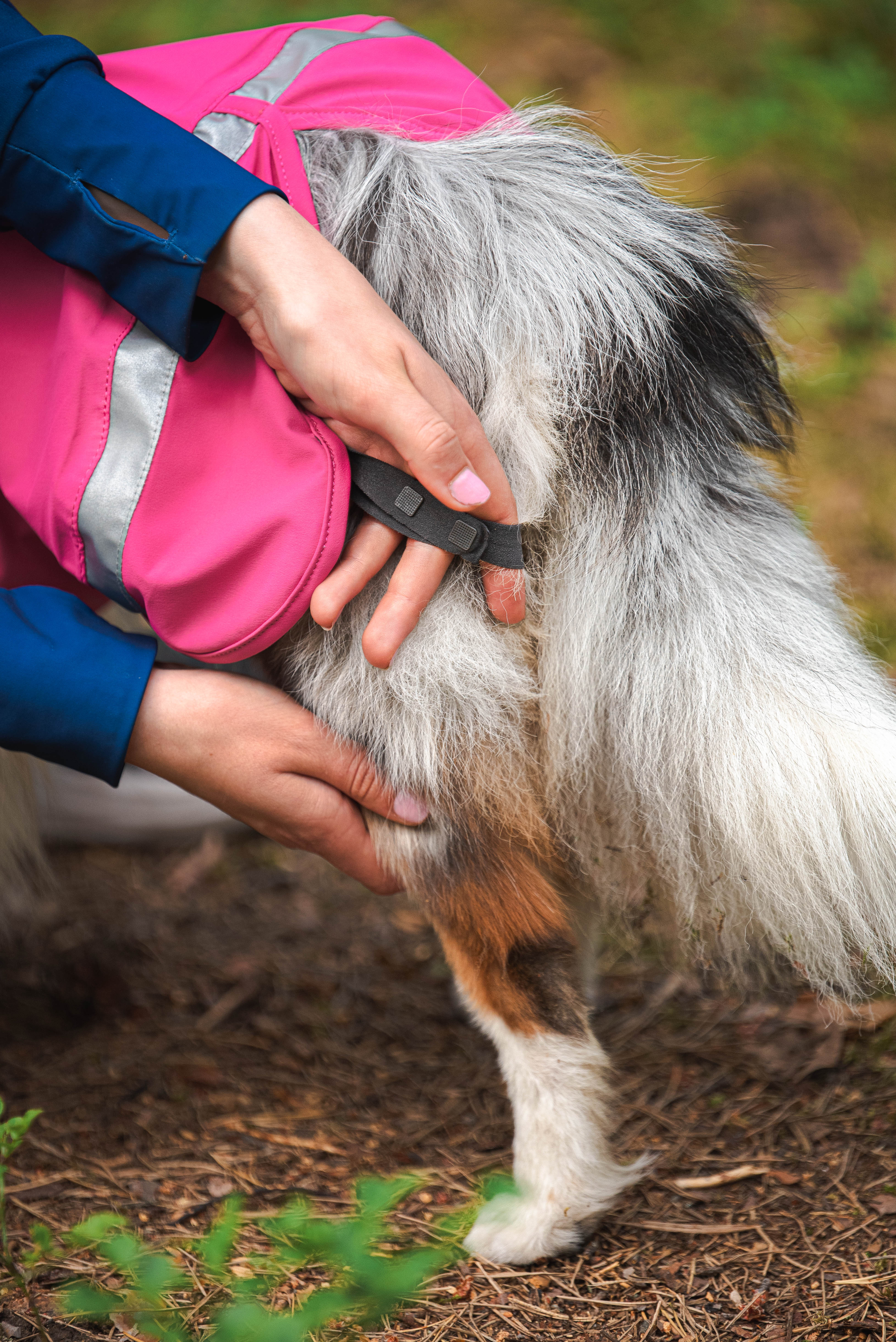Hundemantel Kuori von Pomppa