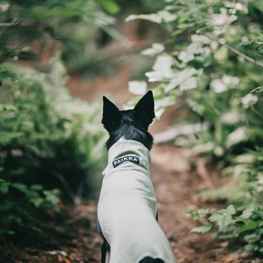 Hunde-Wintershirt Recovery von Paikka
