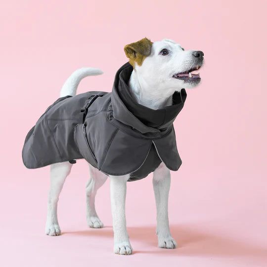 Hochreflektierende Hundewinterjacke von Paikka