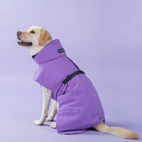 Hochreflektierende Hundewinterjacke von Paikka