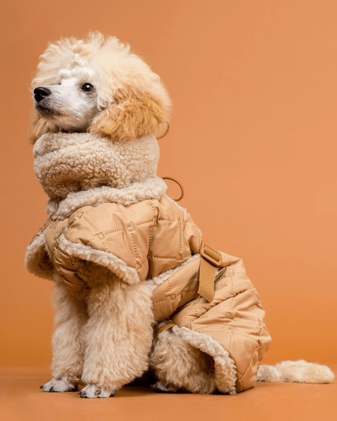 Dog Sherpa Steppjacke von Paikka