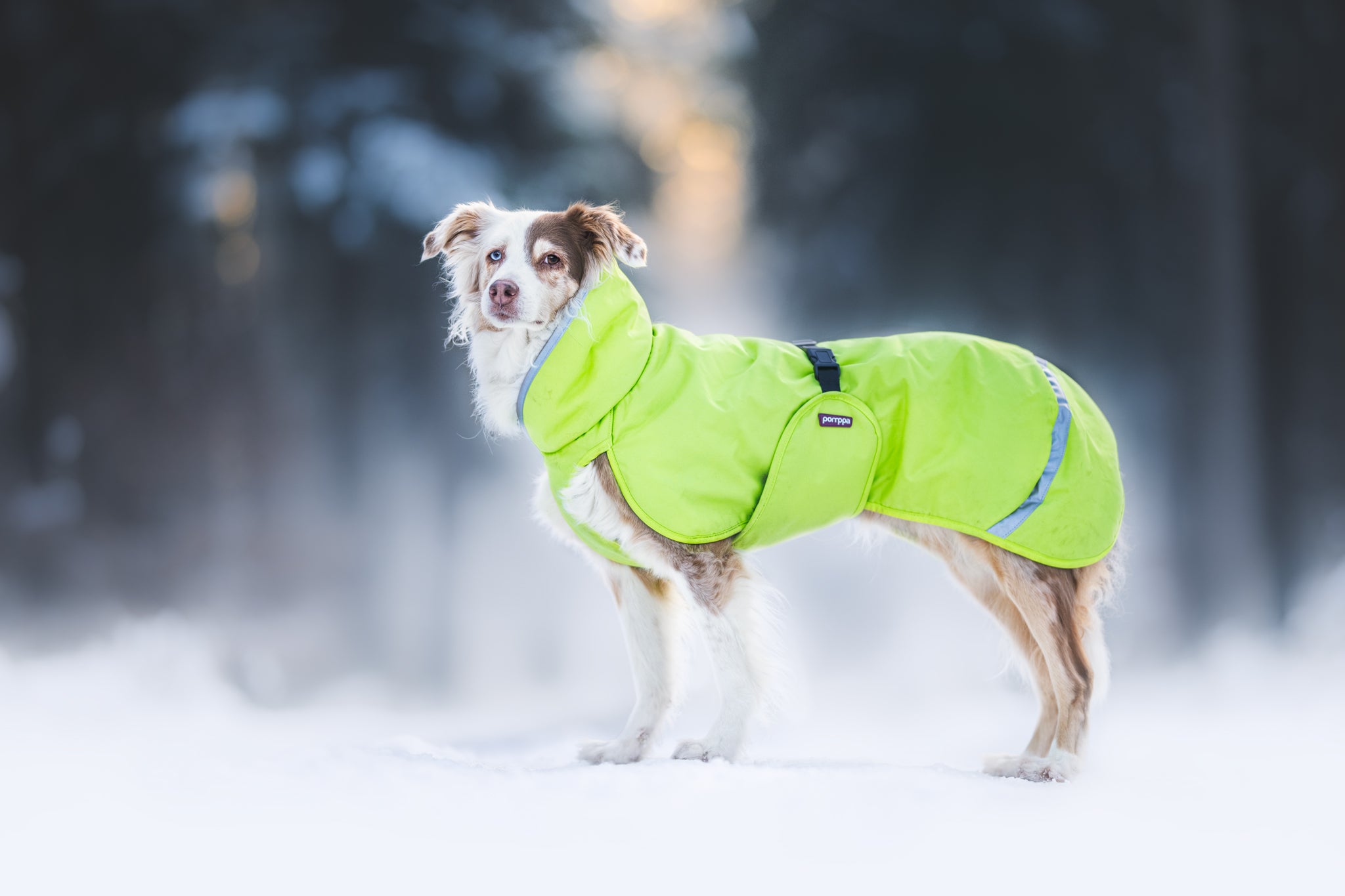 Hundemantel "Perus" mit Geschirröffnung 24/25 von Pomppa