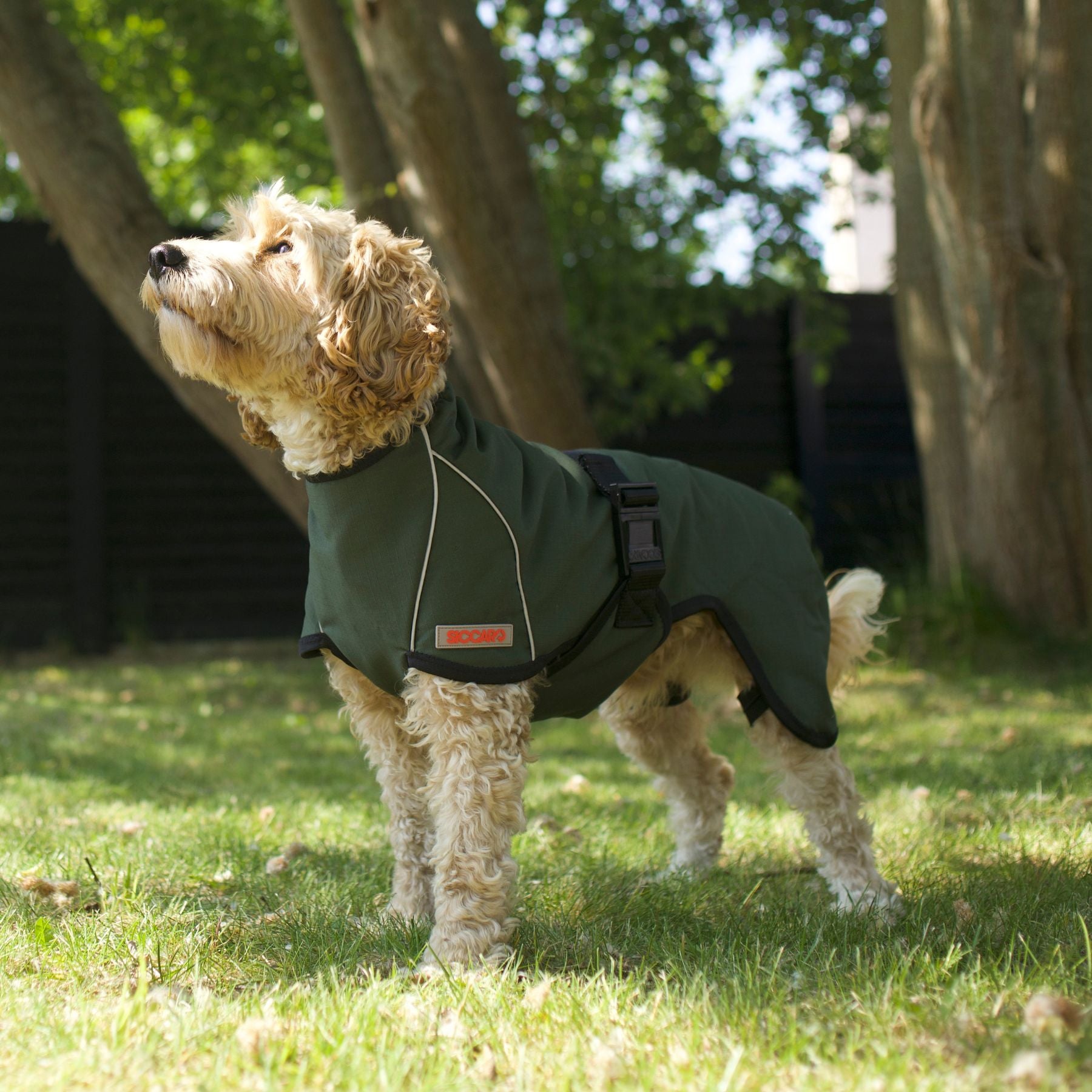 Hundemantel "Rainforce" Siccaro