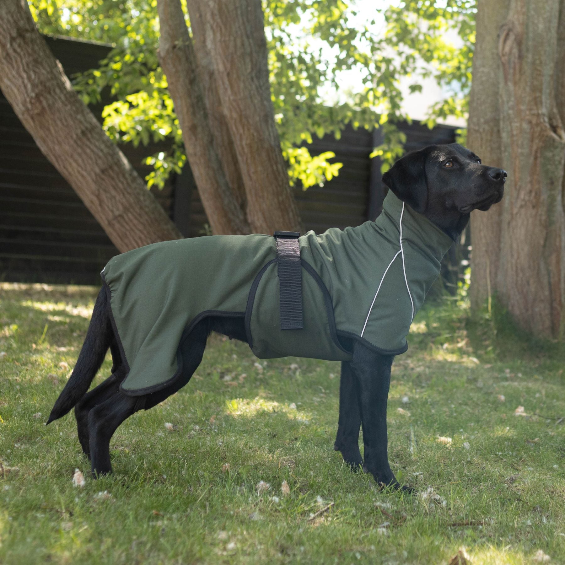 Hundemantel "Rainforce" Siccaro