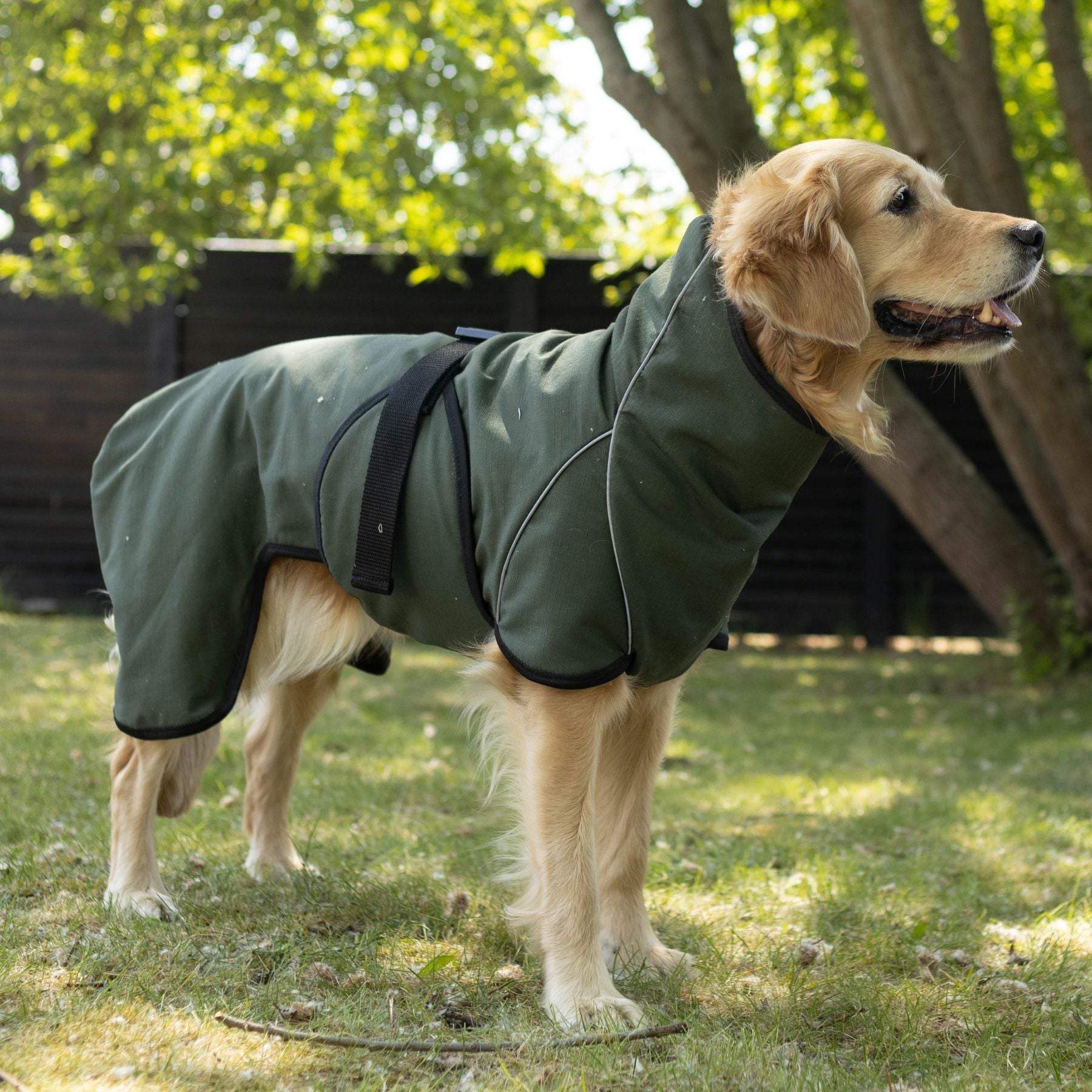 Hundemantel "Rainforce" Siccaro