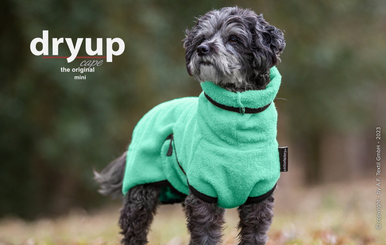 Hundebademantel "Dryup® Cape Mini" Neue Farben 23/24 von Actionfactory