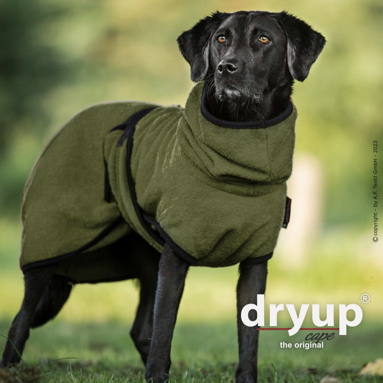 Hundebademantel "Dryup® Cape" Neue Farben 23/24 von Actionfactory