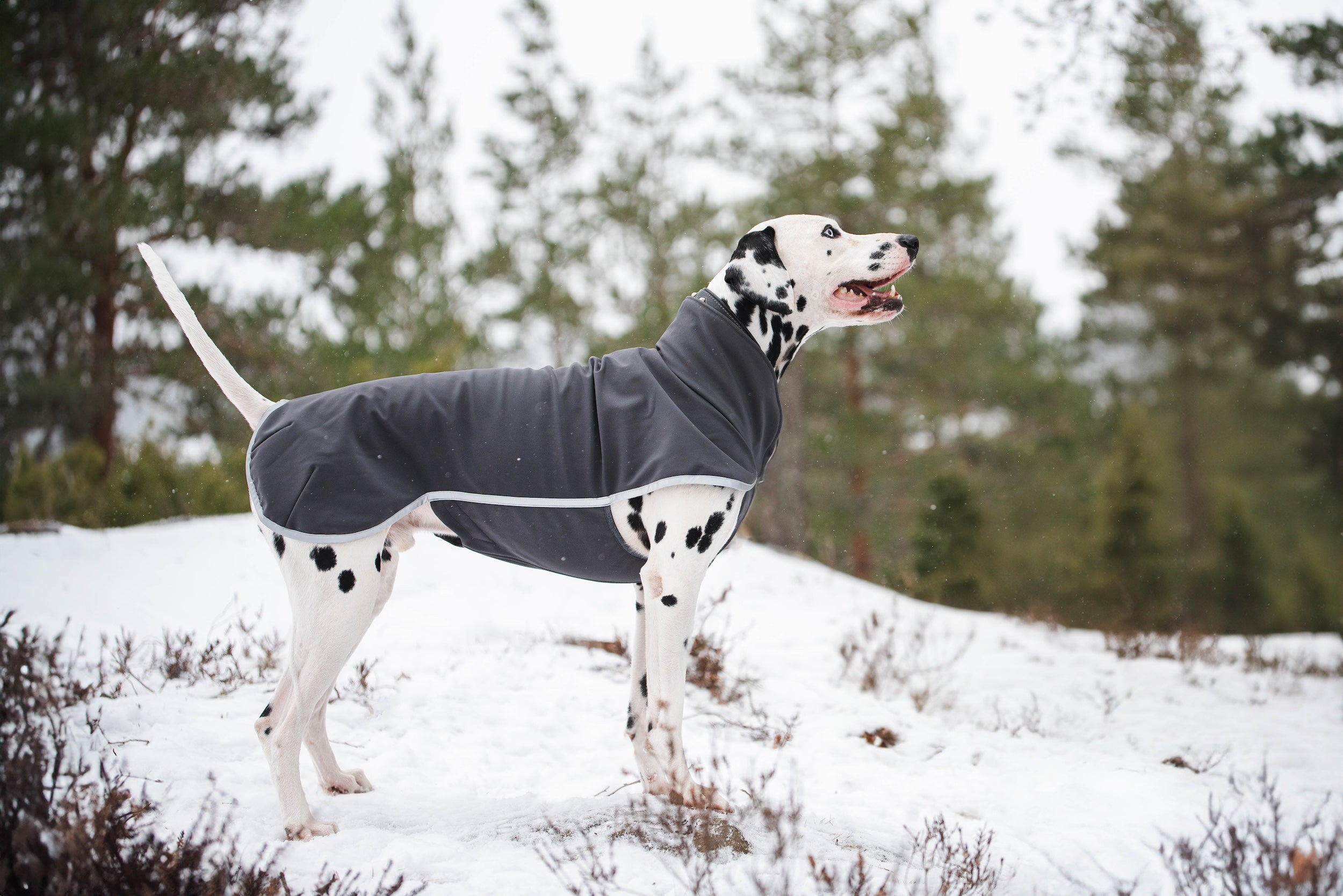 Hundemantel Sportti von Pomppa
