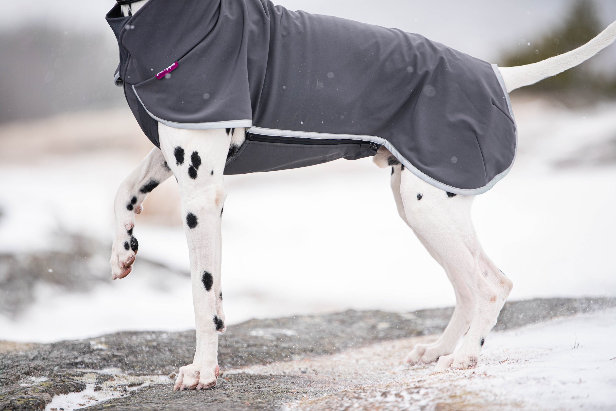 Hundemantel Sportti von Pomppa