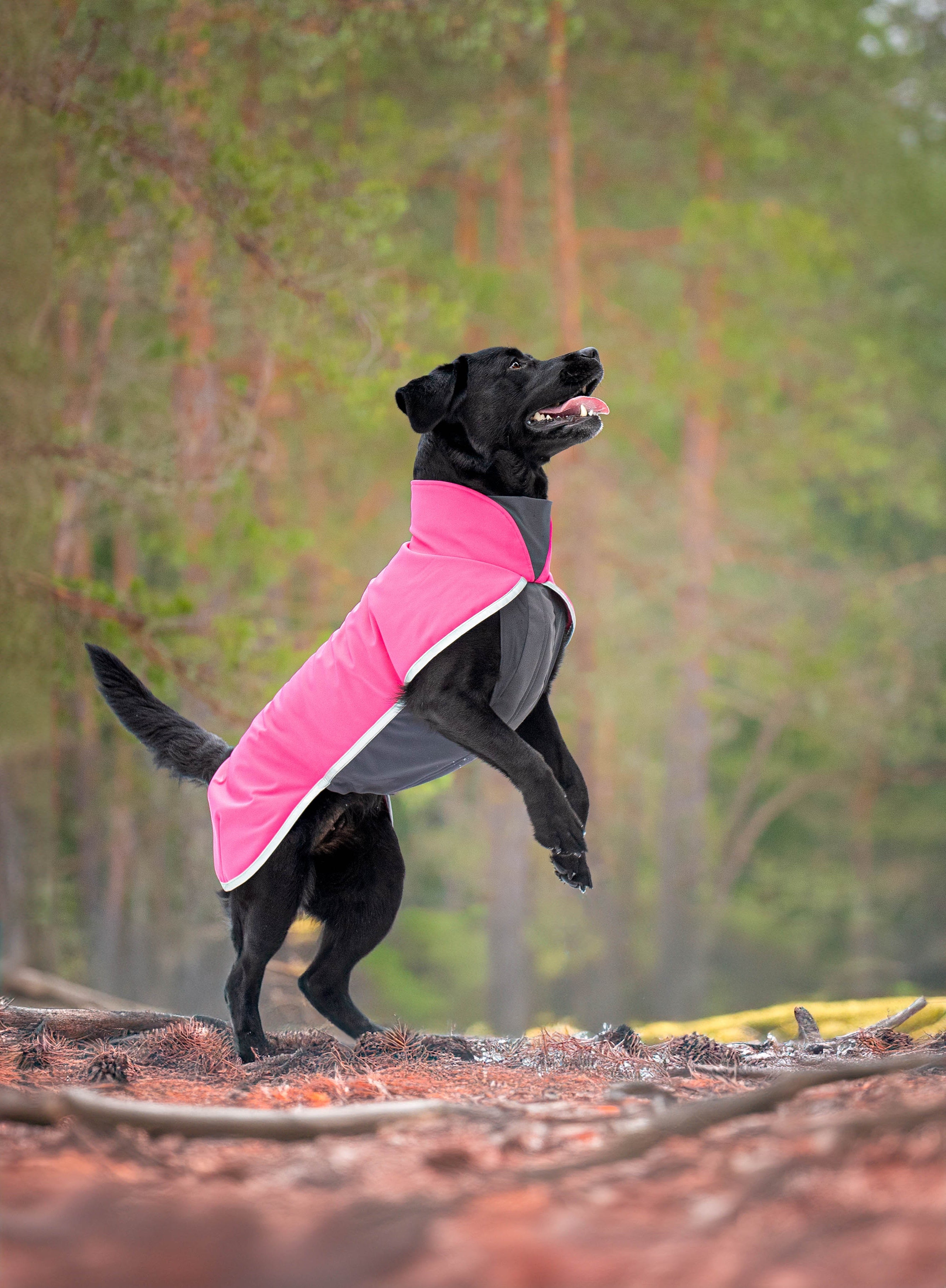 Hundemantel Sportti von Pomppa