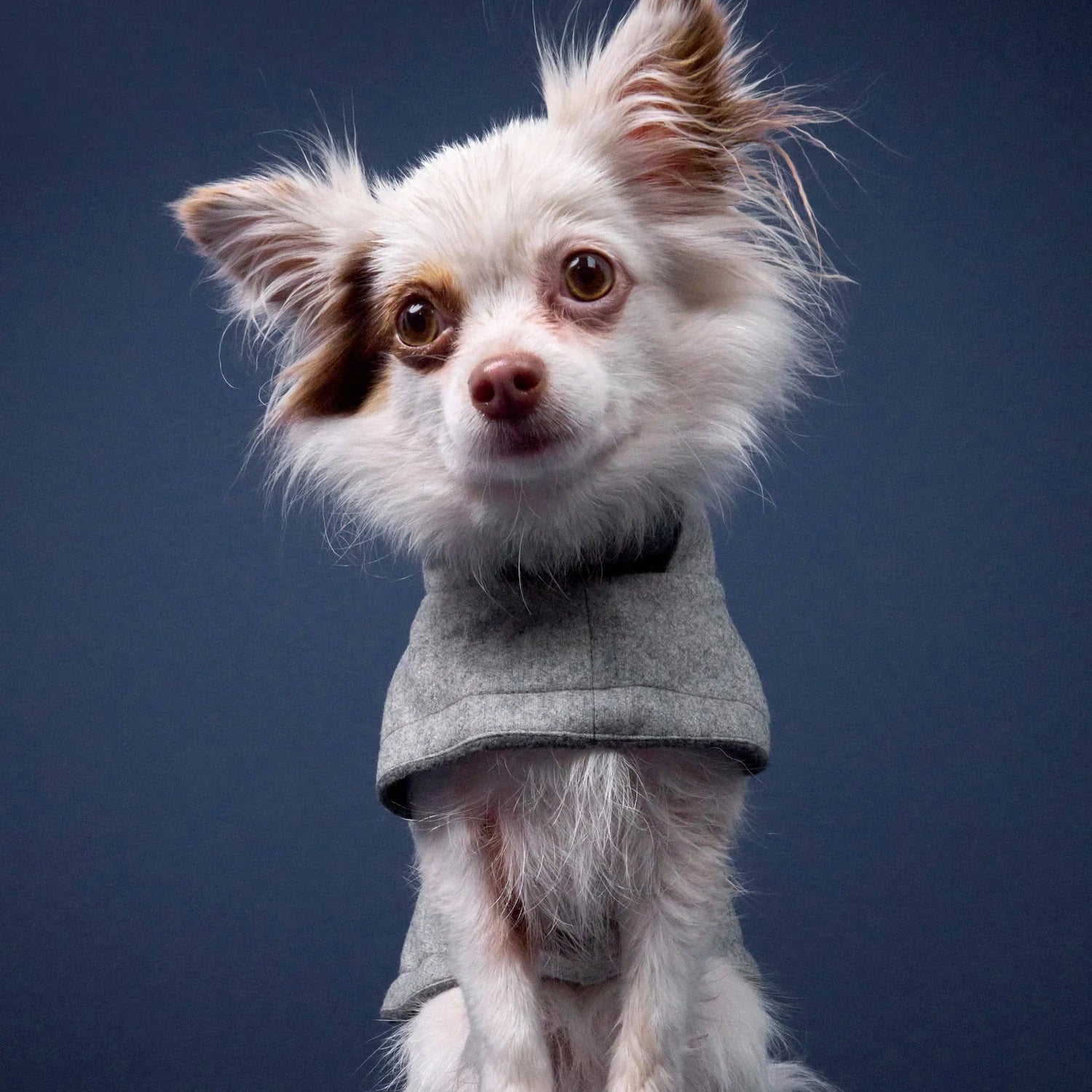 Hundemantel Brooklyn Flanell Grey von Cloud 7