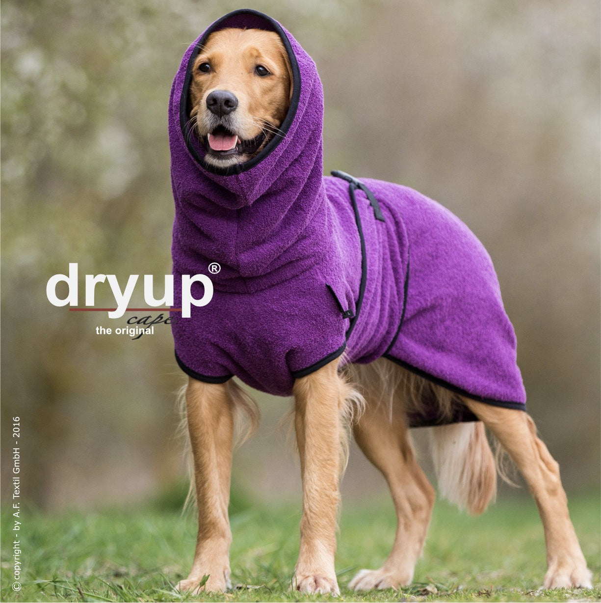 Hundebademantel "Dryup® Cape" von Actionfactory