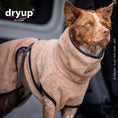 Bild in Galerie-Betrachter laden, Hundebademantel "Dryup® Cape" Neue Farben 23/24 von Actionfactory
