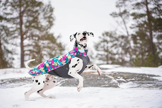 Hundemantel "Jumppa" Saison 24/25 von Pomppa