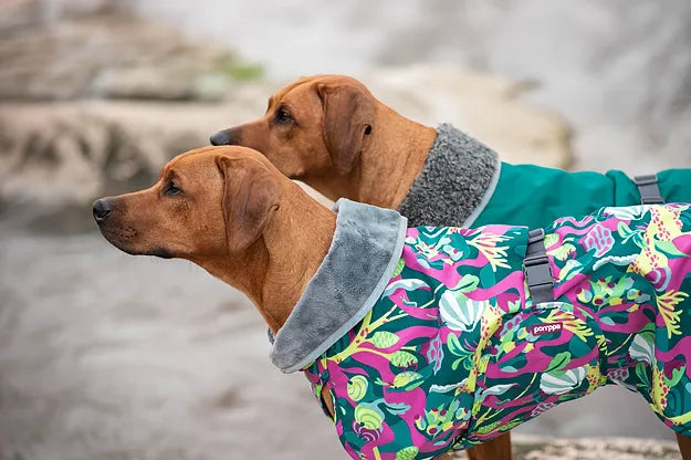 Hundemantel "Kevyt" mit Geschirröffnung von Pomppa 24/25