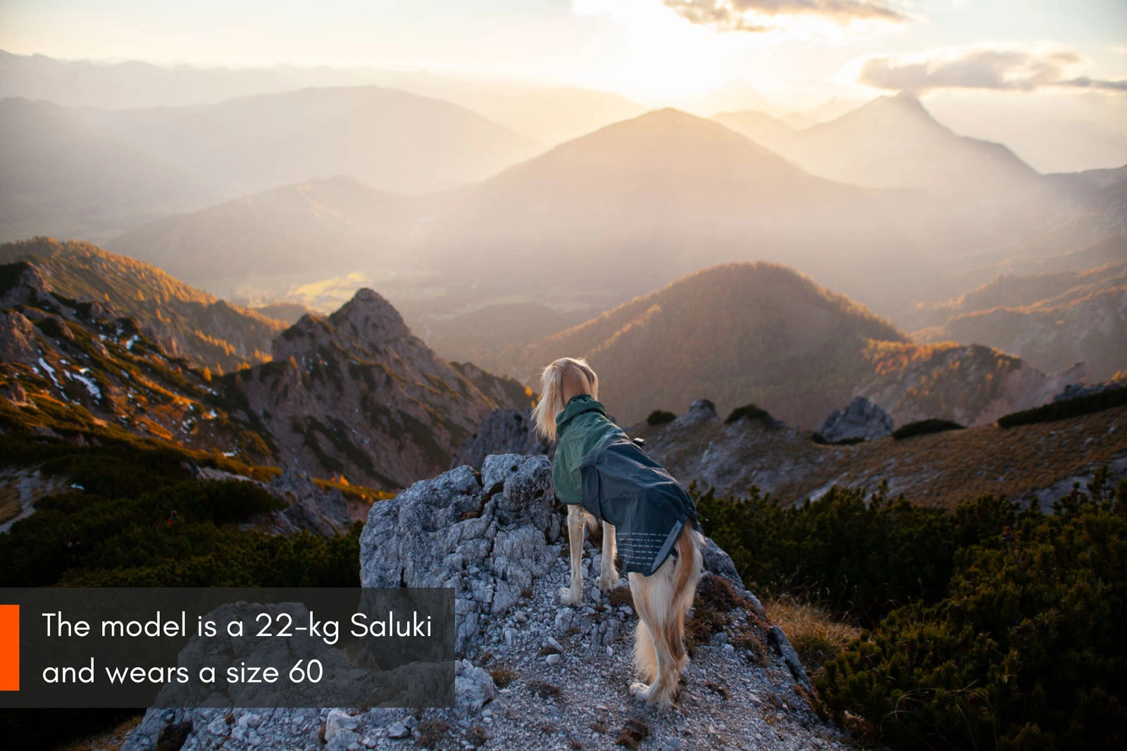 Hundemantel "Fjord Raincoat" von Non-stop dogwear