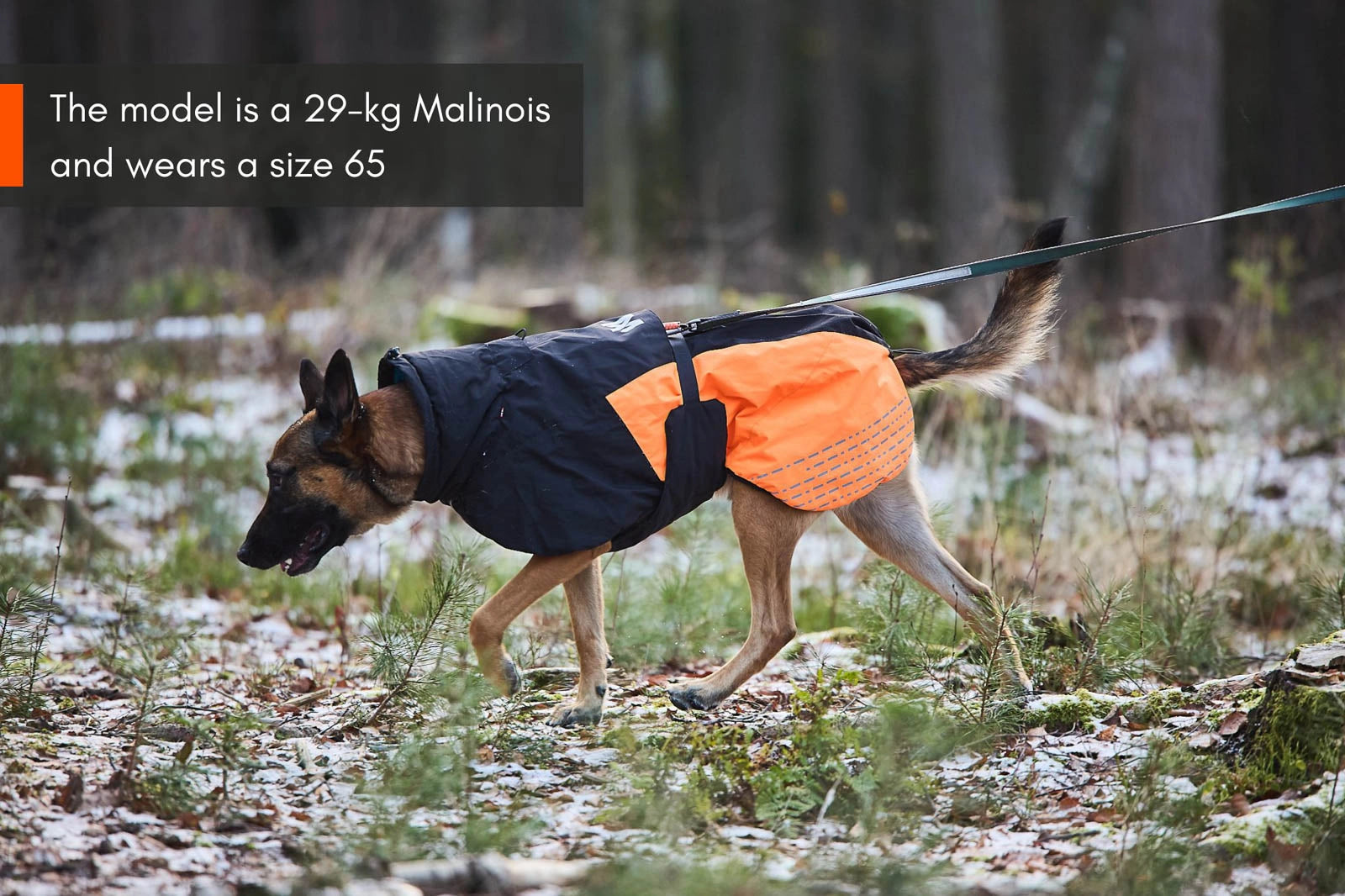 Hundemantel "Glacier Jacket" von Non-stop dogwear