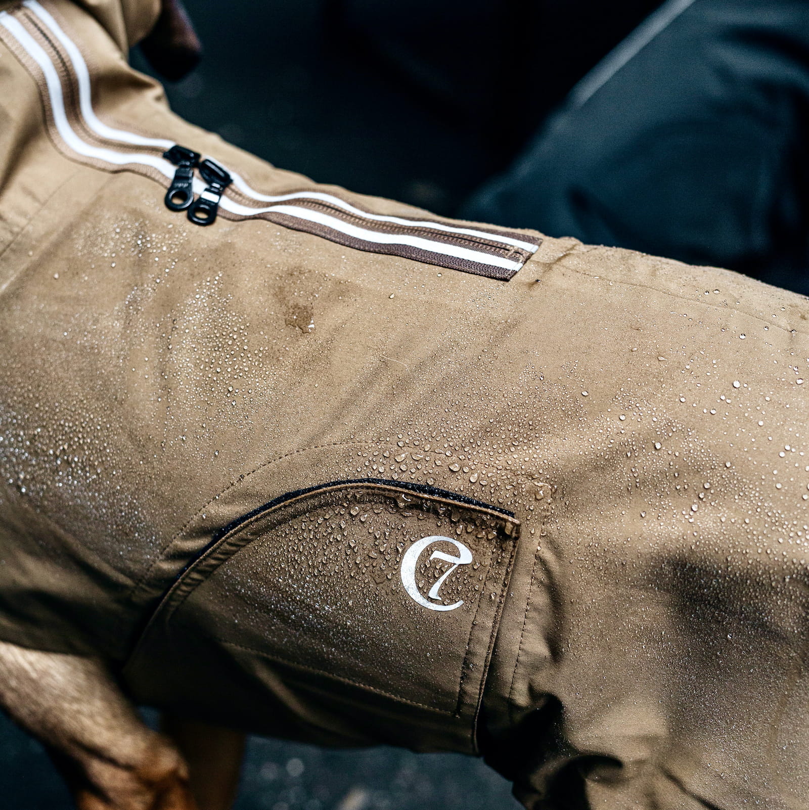 Hunderegenmantel Dublin von Cloud 7