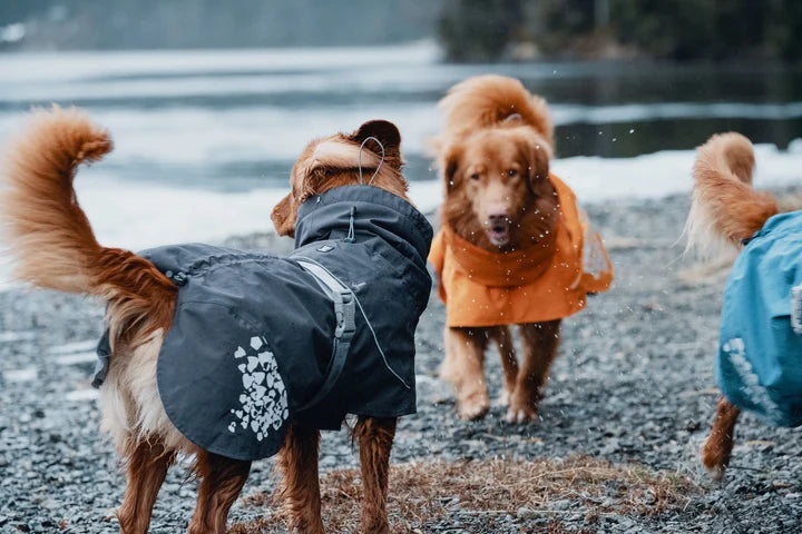 Hundemantel Monsoon von Hurtta